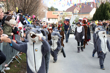 ZLATA POROKA PUSTNI KARNEVAL 77 FOTO LJUBO VUKELIČ